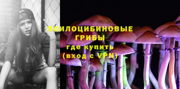 ГАЛЛЮЦИНОГЕННЫЕ ГРИБЫ Тихвин