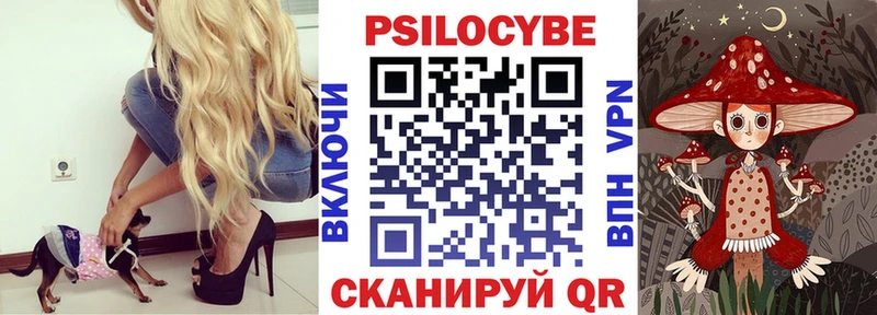 Купить  Давлеканово  Псилоцибиновые грибы Cubensis 
