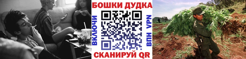 Конопля Bruce Banner  Купить где  Давлеканово 